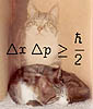 Schrodinger's Cat - Quantum Uncertainty