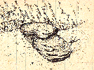 Diagram- Detail of Xlendi Bay Underwater Archaelogical Site